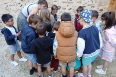 IMG-20250926-WA0009