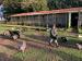 IMG-20200203-WA0016