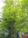 IMG_20220524_140348