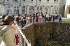 IMG_20250319_110904