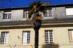 IMG_20250319_111708