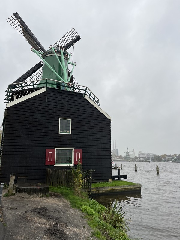 IMG_9282