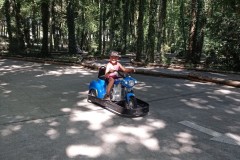 IMG_20250701_112642
