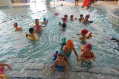 Piscine 2017