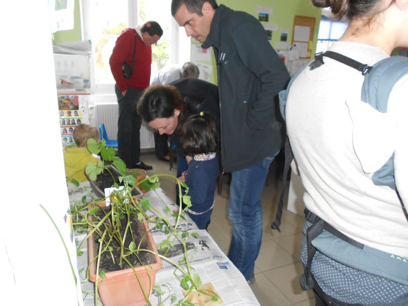 DSCN4352.JPG