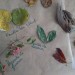 IMG_20201123_141041