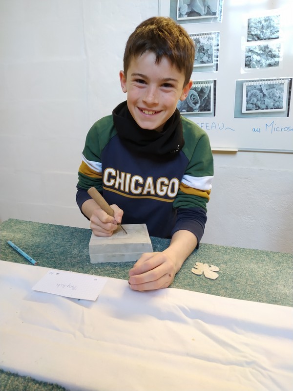 IMG_20250318_091644