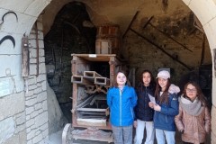 IMG_20250318_101735