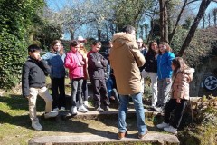 IMG_20250318_105603