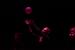 669e9a0c-ef4b-4714-a3f8-43b286383957_rw_1200