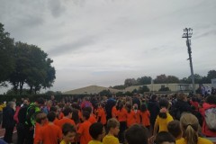 IMG_20241017_101758