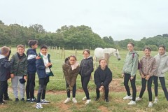IMG-20260605-WA0021