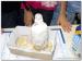 Volcan014